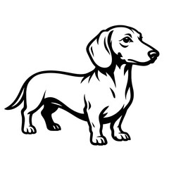 Charming Black and White Dachshund Dog Vector Illustration - Adorable Wiener Dog Outline Art for Pet Lovers, Breed Enthusiasts, Logos, Decals, and Digital Designs - High-Quality Graphic of a Cute Saus