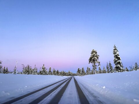 Road through snowy landscape with forest, pink sky at sunrise, Lapland, Finland