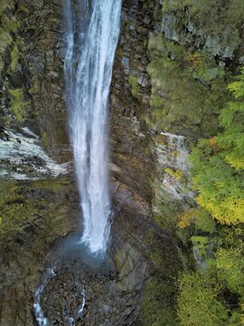 Autumn-coloured sycamore maple (Acer pseudo plantanus), at the Diesbach waterfall, Canton Glarus, Switzerland