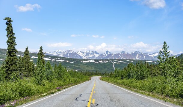 Road through taiga and mountainous landscape, picturesque landscape on Richardson Highway, Alaska, USA