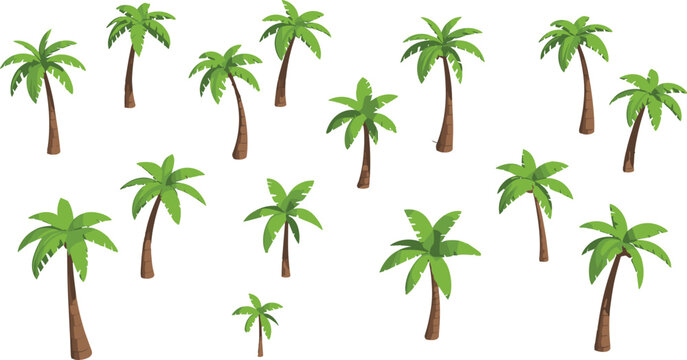 Isometric palm tree set with tropical coconut trees and shadows, summer beach landscape elements vector illustration collection