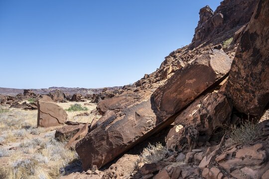 Depictions of animals on a rock slab, petroglyphs, rock engravings, Twyfelfontein, Kunene, Namibia