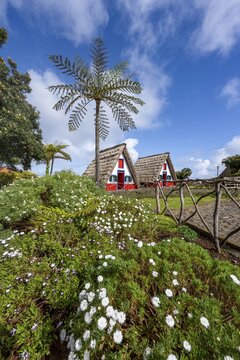 Traditional thatched houses, Casas de Colmo, Santana, Madeira, Portugal