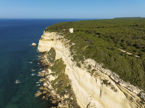 Cliff, pine tree (Pinus pinea) forest and watchtower Torre de Tajo in the Nature Reserve La Bre&ntilde;a y Marismas del Barbate, aerial view, drone shot, C&aacute;diz province, Andalusia, Spain