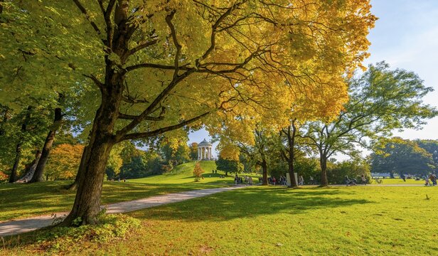 Autumn trees with yellow foliage, Monopteros, English Garden, Munich, Upper Bavaria, Bavaria, Germany