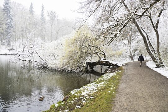 Winter onset in April, walkers, path on the banks of the Lac, Bergpark Wilhelmsh&ouml;he, UNESCO World Heritage Site, Kassel, Hesse, Germany