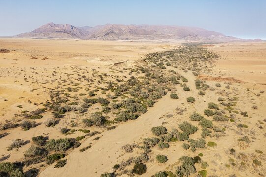 The dry bed of the Ugab river cuts through arid desert plains, behing the Brandberg, Namibia's highest mountain, aerial view, drone shot, Damaraland, Namibia