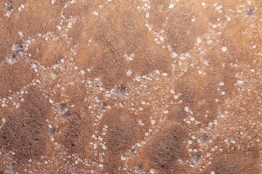 Dried up rivers after years of drought, overgrown with resistant shrubs, aerial view, drone image, Damaraland, Kunene region, Namibia.