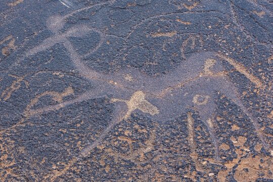 The dancing kudu panel at the Twyfelfontein rock engravings west of the town of Khorixas, World Heritage Site, Damaraland, Kunene Region, Namibia