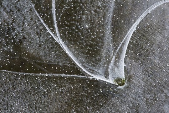 Ice structures, Emsland, Lower Saxony, Germany