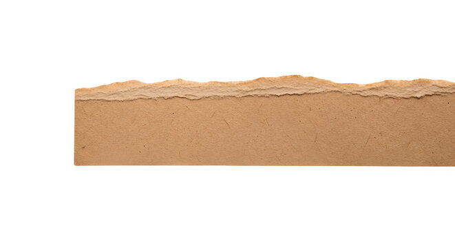 Cross section of a sandy terrain with rugged surface