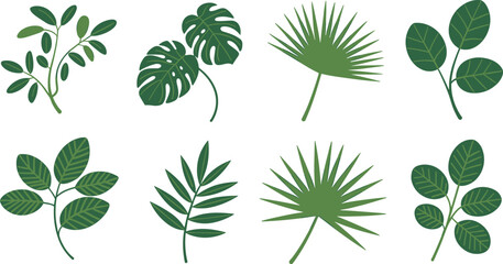 Tropical leaf set vector illustration with monstera, palm and botanical foliage, modern flat design natural plant collection