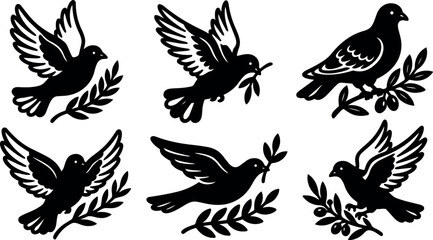 Fototapeta premium Minimalist vector dove icons carrying olive branches in various poses front view flying and perched silhouette set peaceful white symbol