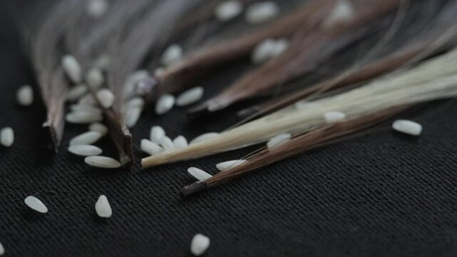 Grains of white rice falling over professional keratin hair extension strands on a dark background