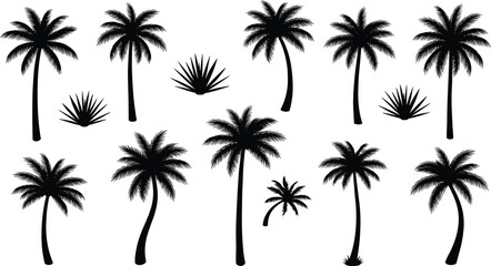 Large set of black palm tree silhouettes and tropical plant vector icons isolated on white background for summer vacation and beach landscape design.