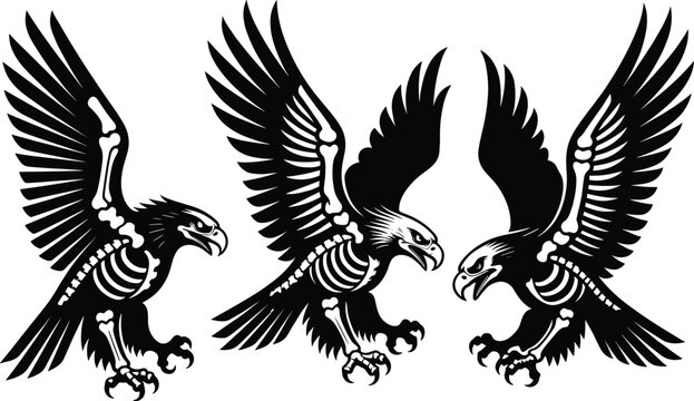 Eagle Skeleton Silhouette Vector Set with Spread Wings, Detailed Skull and Bone Structure Illustration for Tattoo Design, Gothic Logo, Mascot and T-Shirt Graphic