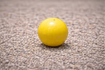 Yellow Ball for Petanque Sport Game