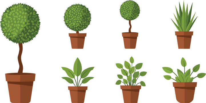 Potted Houseplant Set with Round Garden Topiary Trees, Green Succulents, and Decorative Indoor Plants in Clay Pots Illustration.