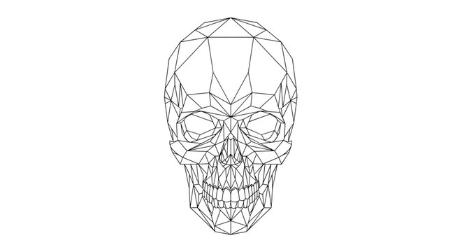 Geometric Wireframe Human Skull Illustration.