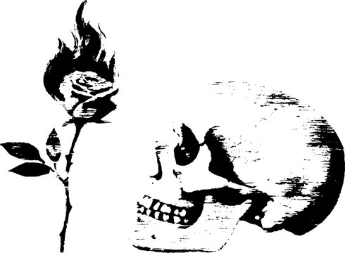 Surreal contrast: skull and burning rose ink art for gothic design