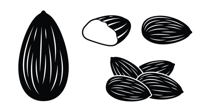 Black and white almond illustrations in a minimalist style silhouette