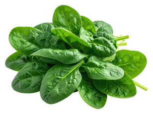 Fototapeta premium A bunch of vibrant green spinach leaves on a black background