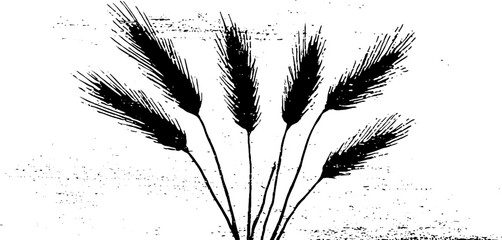 Obraz premium High contrast abstract wheat awn silhouette stencil for design