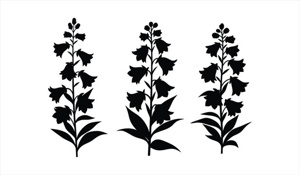 Three floral silhouettes of foxglove flowers with bell shapes and leafy stems