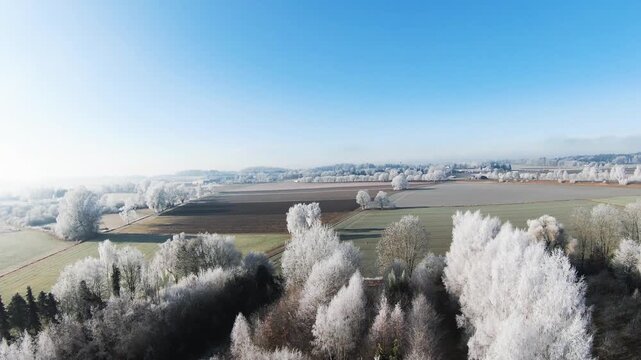 Diese stimmungsvolle Aufnahme zeigt die winterliche Pracht bei Illertissen. M&auml;chtige B&auml;ume, deren filigrane Zweige vollst&auml;ndig von glitzerndem Raureif &uuml;berzogen sind, bilden einen strahlend wei&szlig;en Kon