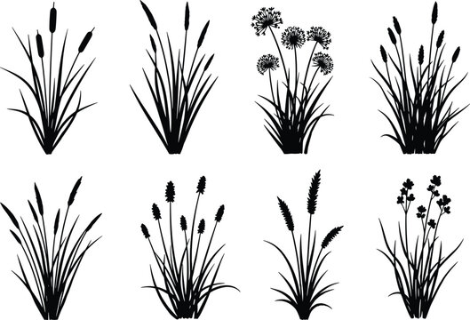 Black Wild Grass and Cattail Silhouette Set with Botanical Reeds and Meadow Plant Elements for Nature Landscape Design and Outdoor Themed Graphics