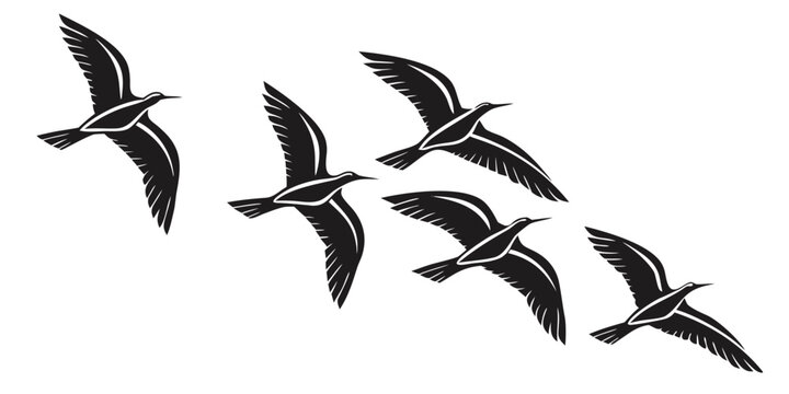 A flock of birds flying in a v-formation against a white background Vector