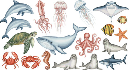 Marine sea animals collection ocean wildlife aquatic creatures vector illustrationMarine sea animals collection ocean wildlife aquatic creatures vector illustration © EdGe Creative