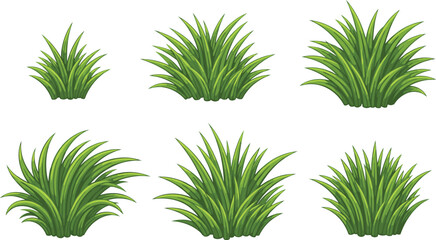 Set of Green Grass Tufts and Lawn Plant Illustrations for Landscape Design, Garden Backgrounds, Architectural Visualization, and Nature Themed Vector Graphics © MSTNusrat