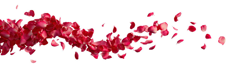 Obraz premium Flying red rose petals in dynamic wave, isolated on transparent cutout background