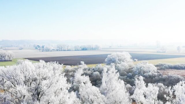 Diese stimmungsvolle Aufnahme zeigt die winterliche Pracht bei Illertissen. M&auml;chtige B&auml;ume, deren filigrane Zweige vollst&auml;ndig von glitzerndem Raureif &uuml;berzogen sind, bilden einen strahlend wei&szlig;en Kon
