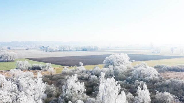 Diese stimmungsvolle Aufnahme zeigt die winterliche Pracht bei Illertissen. M&auml;chtige B&auml;ume, deren filigrane Zweige vollst&auml;ndig von glitzerndem Raureif &uuml;berzogen sind, bilden einen strahlend wei&szlig;en Kon