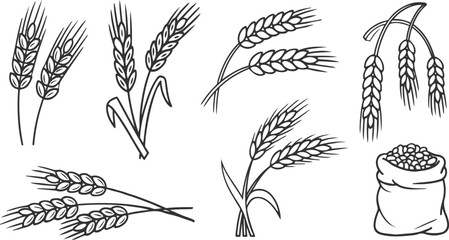 Collection of black line wheat ears and a sack of grain on a white background stalk harvest © ESIPOOS