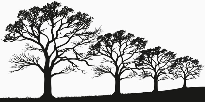 A serene landscape featuring a row of tall, leafless trees against a clear sky. Vector
