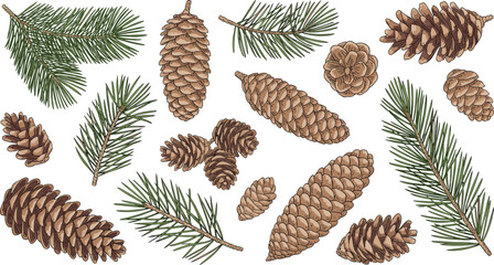 Pinecones and pine needles illustration set, coniferous tree vector artwork, botanical design graphics, forest nature icons collection, evergreen symbol © Creative Art