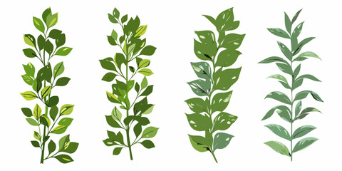 Four vertical arrangements of diverse green leaves against a white background © Polash