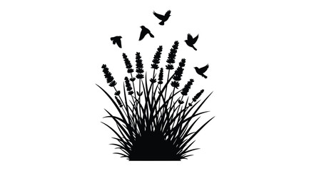 Lavender field with flying birds in a striking black silhouette © Taylor