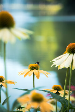 Colorful Flowers Background &ndash; Vibrant Floral Spring Nature