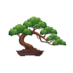 Elegant Bonsai Tree in Pot - Japanese Art of Miniature Tree Cultivation