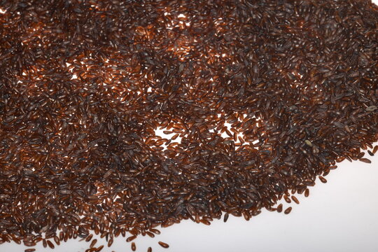 Flohsamen,  Wegericharten,  Plantago indica