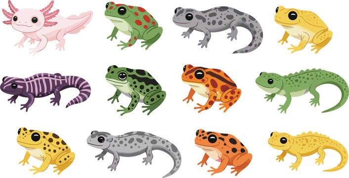 Cute Amphibians Vector Set Featuring Colorful Frogs, Spotted Salamanders, Newts, and a Pink Axolotl Isolated on White Background