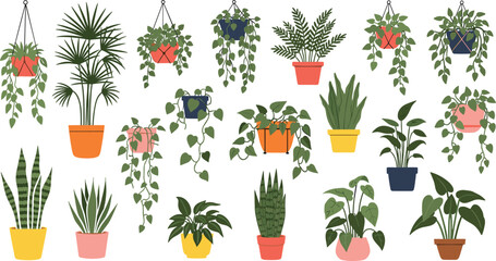 Naklejka premium Indoor hanging and potted houseplants collection with tropical greenery home decor illustrations