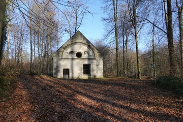 Regard de Saint-Hubert en forêt de Retz © luzulee