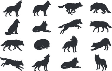 Fototapeta premium Collection of 16 wolf silhouettes in varied poses including standing, sitting, lying, walking, running, jumping, and stretching for wildlife illustration, behavior study, and creative design projects