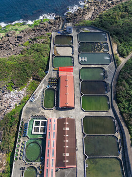 Aerial view of aquaculture ponds shimmer with algae, hugged by dark rocky cliffs and lush greenery, contrasting with the red-roofed buildings, New Taipei City, Taiwan.