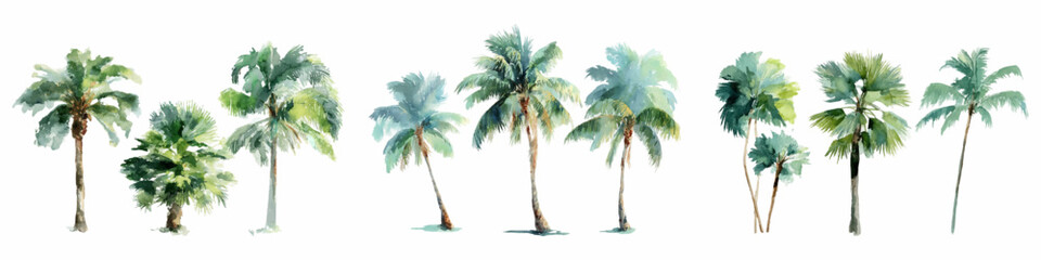 Hand painted watercolor palm trees isolated on a white background, creating a tropical and natural motif for design projects, emphasizing exotic locations and organic beauty © Narin